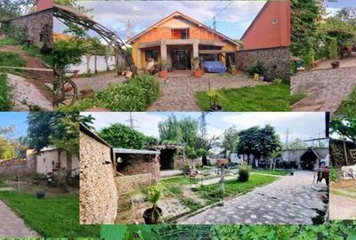 Casa parter cu mansarda - 2