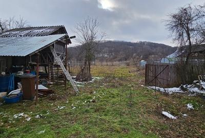 Casă individuală cu 2 camere cu Canalizare în Mitrofani - 16