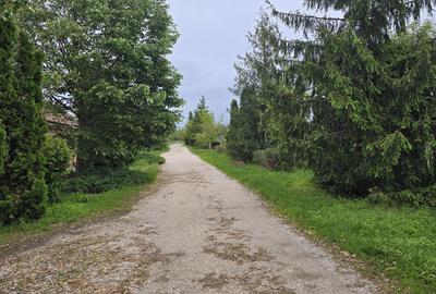 Teren de 38464 mp, în Beharca - 14