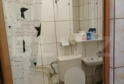 Garsonieră, mobilată în Valea Rosie - 5