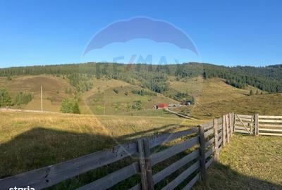 Teren de 3272 mp, în Beliș - 1