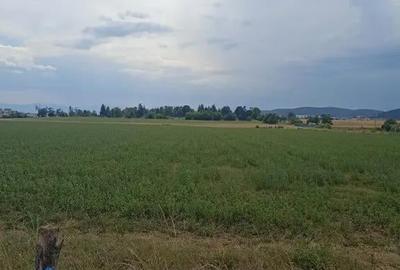 Teren de 400 mp, în Central - 1