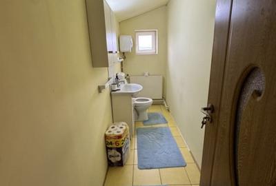 VILA Demisol+ Parter +Et 1+ Mansarda Ultracentral - 6