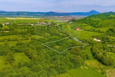 Teren Construcții intravilan de 10000 mp, în Glăjărie - 4