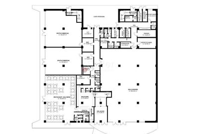 Complex Multifunctional P+1 - 5