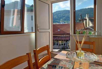 Pentru 3 luni!! Garsoniera, priveliste frumoasa, pet friendly, loc parcare, Sche - 5