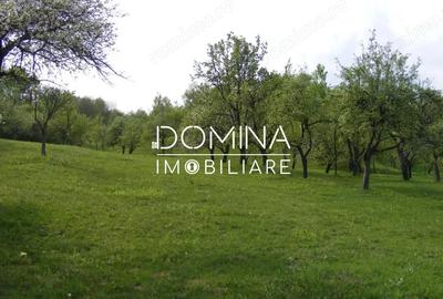 Spațiu comercial, în Runcu - 5