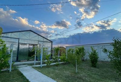 Teren Construcții intravilan de 906 mp, în Bâldana - 2