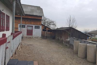 Casă cu 3 camere cu Teren 800 Mp în Drăgoiești - 8