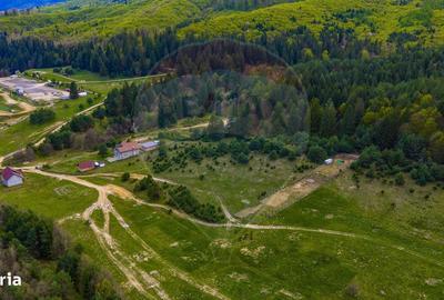 Spațiu comercial, în Brebina - 10