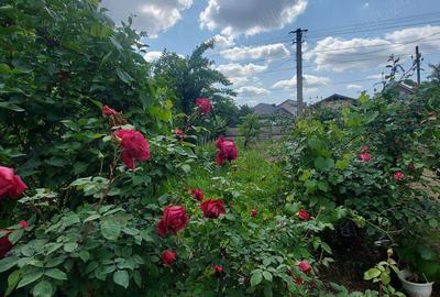 Vanzare casa in comuna Voinesti, judetul Dambovita - 3