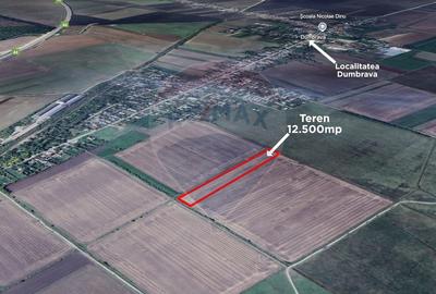 Teren agricol extravilan de 12500 mp, în Dumbrava - 4