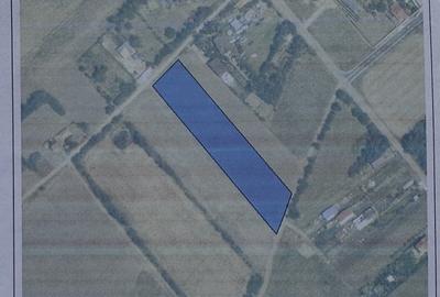 Teren Construcții intravilan de 5208 mp, în Dascălu - 3