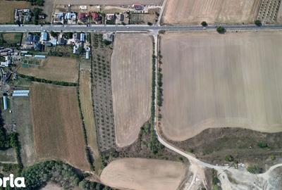 Teren de 9654 mp, în Dobra - 4