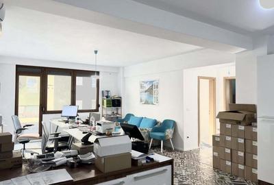 Apartament 2 camere, 65mp utili, terasa 123mp, parter inalt-Torontalului - 4