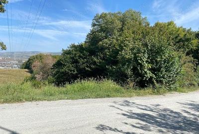 Teren Construcții intravilan de 17243 mp, în Grigorescu - 3