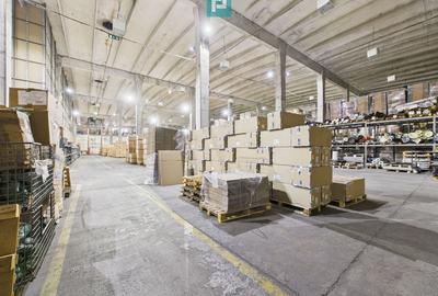 Teren 9.419 mp + hale 7.000 mp – Huși, Vaslui - 4