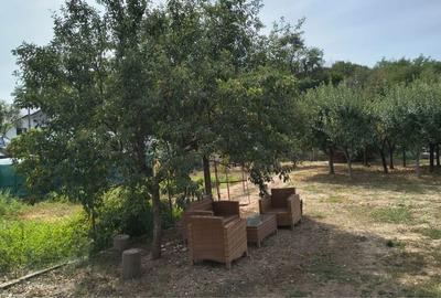 Casă cu 4 camere în Războieni - 6