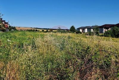 Teren Construcții intravilan de 3538 mp, în 1 Mai - 16