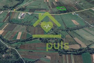 ? Teren intravilan 10.000 mp Mesteacan, jud. Hunedoara ? - 7