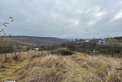 Spațiu comercial, în Feleacu - 5