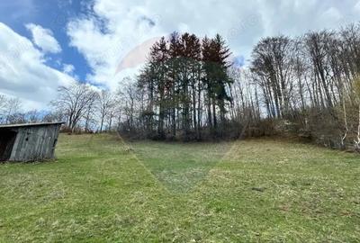 Teren generos, dar ieftin, in Namae?ti - Arge? - 7