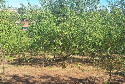 Spațiu comercial, în Ghercești - 2