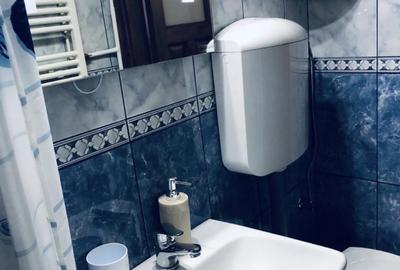Garsonieră decomandată, mobilată în Domenii - 6