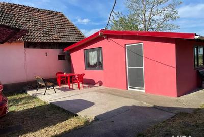 Casă cu 3 camere cu Teren 581 Mp în Grabaț - 7