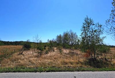 TEREN INTRAVILAN ȘI EXTRAVILAN BAIA DE FIER - 4