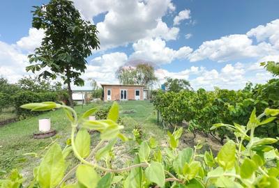 Casa / Vila de vanzare situata in Recas, 195 mp (suprafata construita) - 17