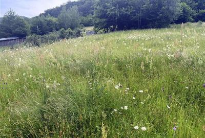 Teren intravilan de 1762 mp, în Someșu Rece - 8