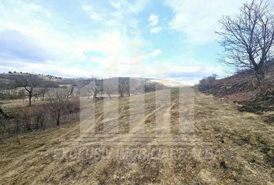 Teren intravilan de vanzare, Geogiu de Sus - 1