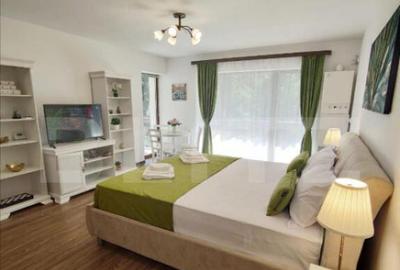 Garsonieră semidecomandată, mobilată în Central - 4