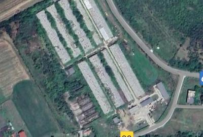 Teren de 4 mp, în Bistrița - 1