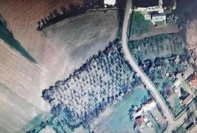 Teren de 4000 mp, în Crângurile - 7