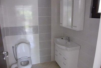 Otopeni, proprietar, vind duplex - 2