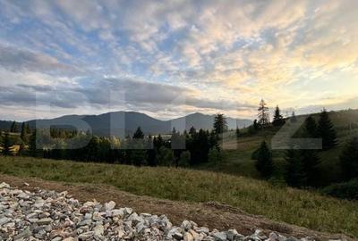 Teren de 5000 mp, în Tiha Bârgăului - 5