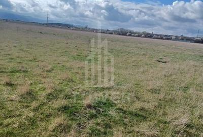Teren Construcții intravilan de 7700 mp, în Exterior Sud