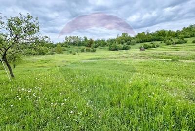 Teren agricol extravilan de 20876 mp, în Breb - 5