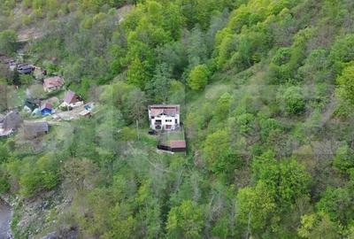 Casă cu Teren 2000 Mp în Râmeț - 14