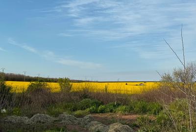 Teren de vânzare Costinești, lângă viitoarea stațiune NIBIRU Teren de vânzare Costinești, lângă viitoarea stațiune NIBIRU - 5