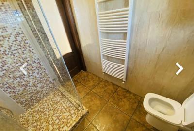 Vila Dobroesti-Fundeni - 29