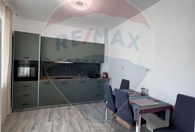 Apartament cu 2 camere semidecomandat, mobilat în Sânmartin - 2