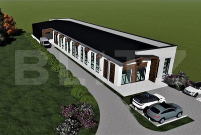 Proprietate comerciala, teren 15.923 mp, 2 hale construite, zona Carcea - 2