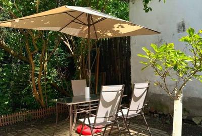 Apartament cu 2 camere, mobilat în Ultracentral - 2