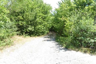 Teren intravilan in Boldesti Scaeni, Prahova, 7410 mp - 3