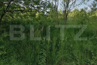 Teren de 14400 mp, în Gemenea-Brătulești - 3
