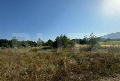 Teren de 4000 mp, în Central - 1