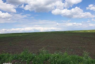 Teren de 2999 mp, în Central - 1